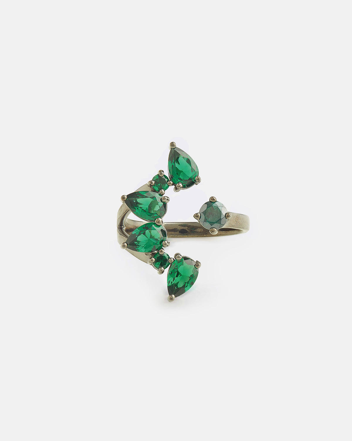 Pine  Ring